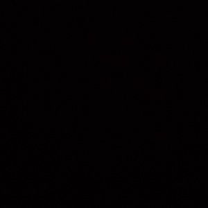 Meet your Posher, Suzan